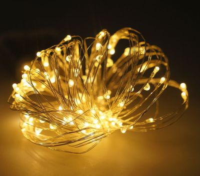 Dây Đèn Led Trang Trí 1m