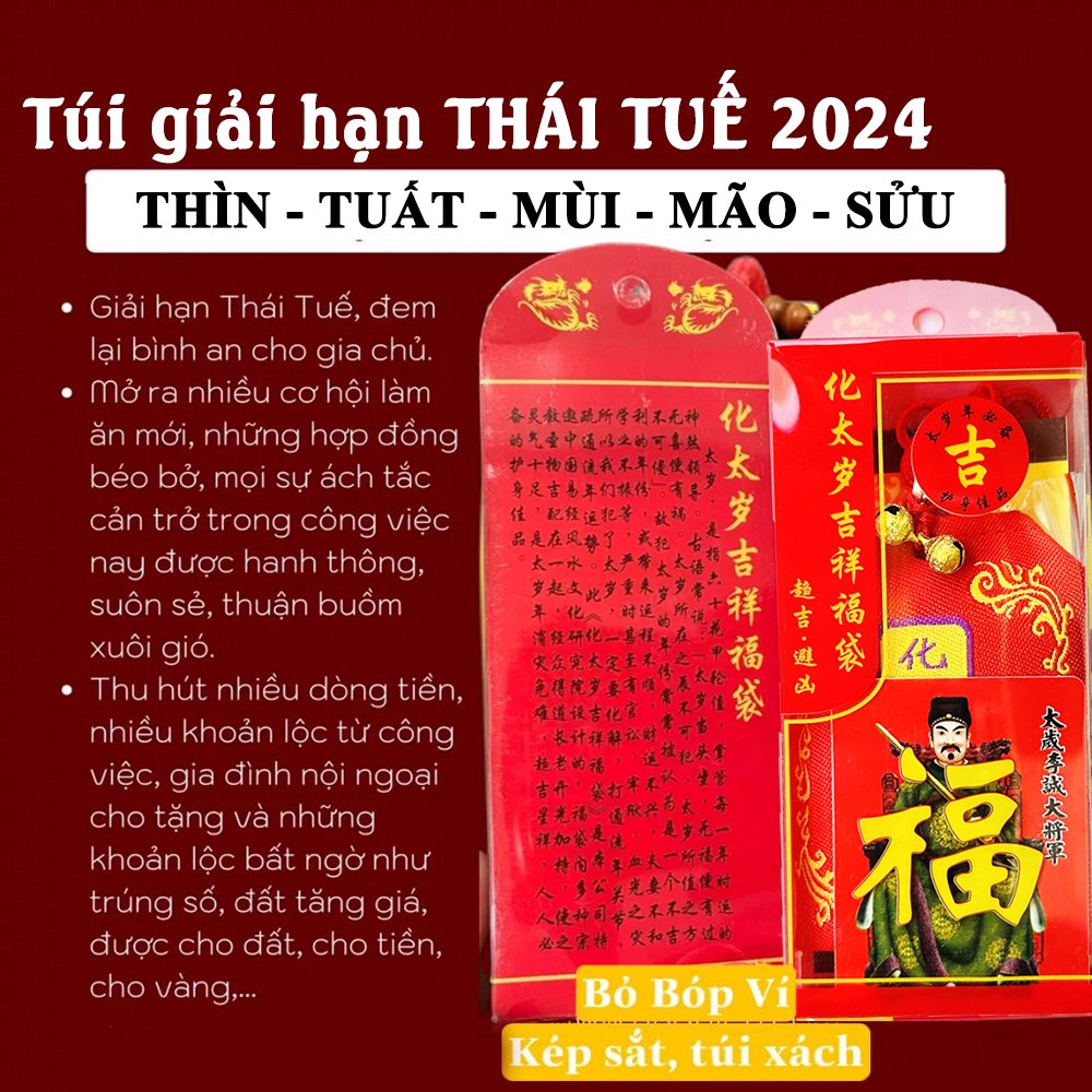 tui-thai-tue-2024 (4)