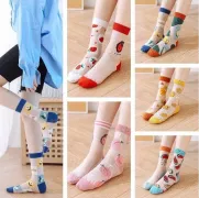 Combo 10 Đôi Vớ Ren Cổ Cao Hình Trái Cây