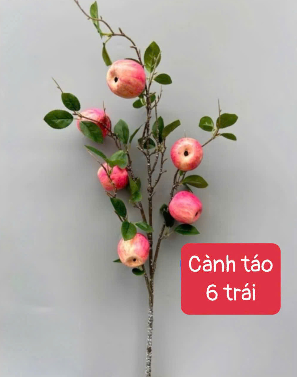 Cành Táo 6 Trái