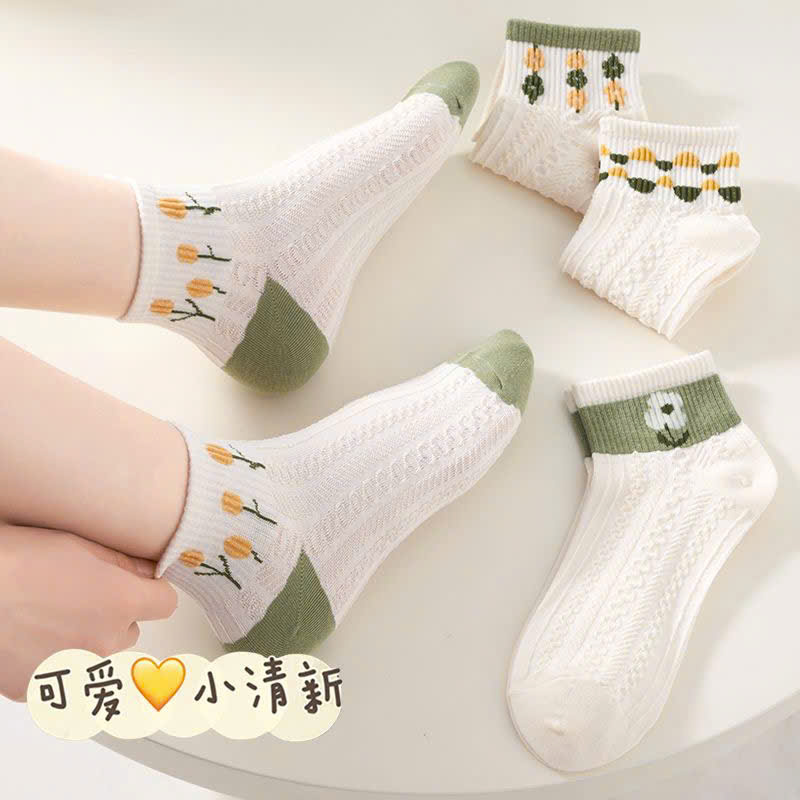 set-10-doi-vo-hinh-hoa (3)