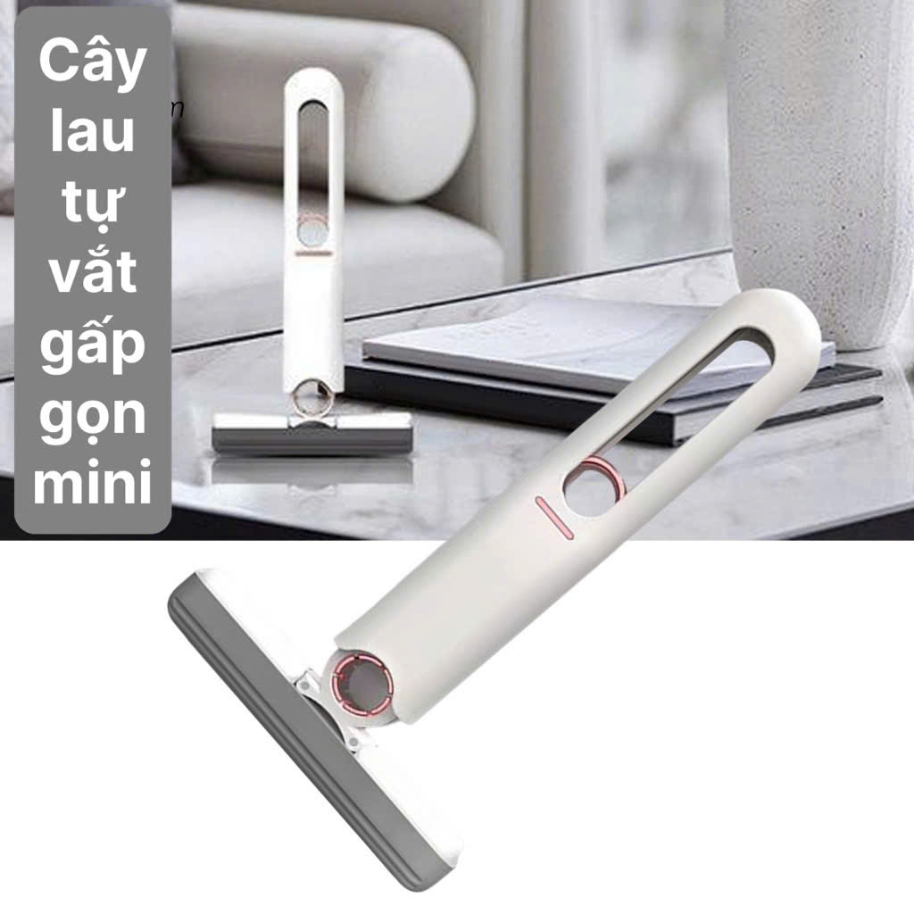 cay-lau-kinh-tu-vat-mini (1)
