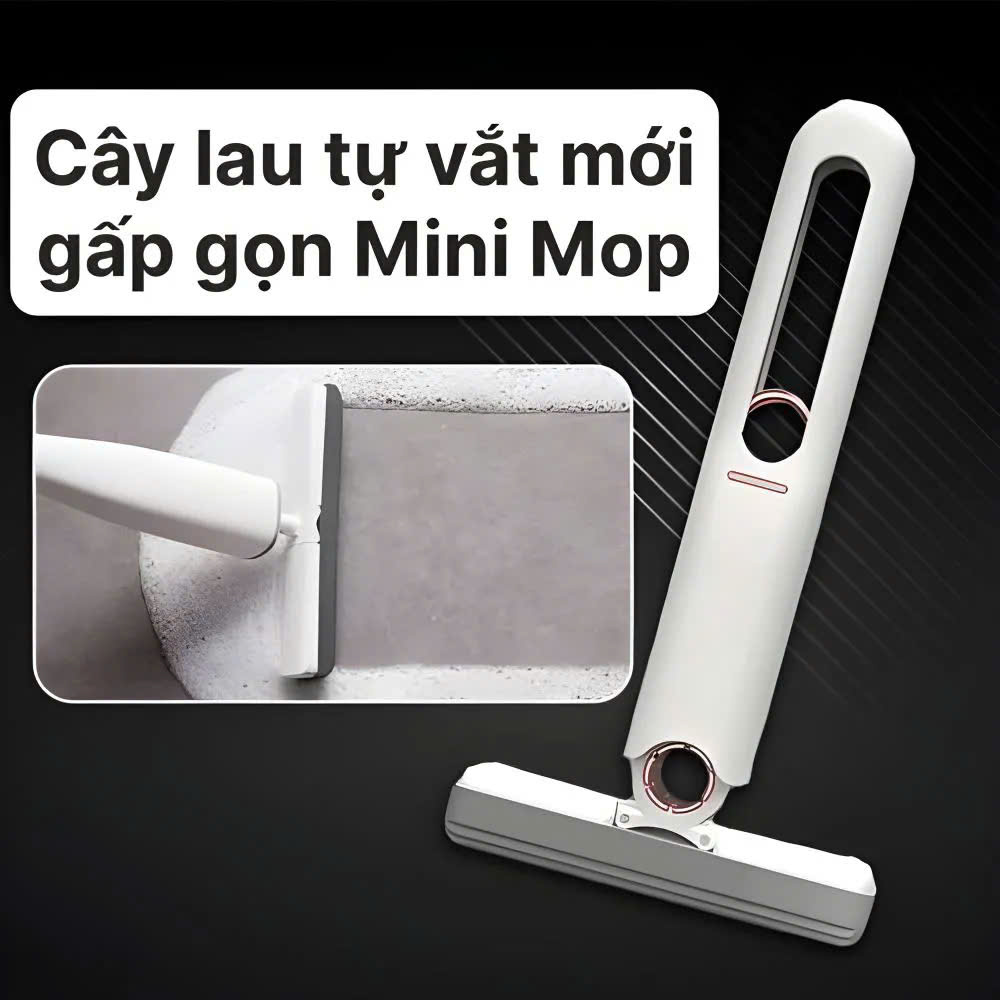 cay-lau-kinh-tu-vat-mini (6)