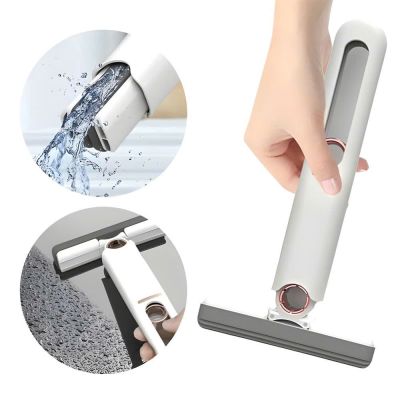 Cây Lau Kính Tự Vắt – clip