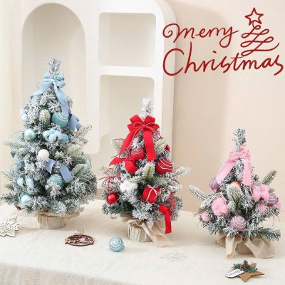 Cây Thông Kèm Châu 40cm - clip