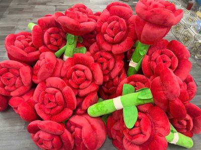 Cây Hoa Hồng ( 60cm: 99k. 80cm: 115k) VAT