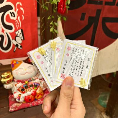 Set 10 Rùa Phong Thuỷ May Mắn