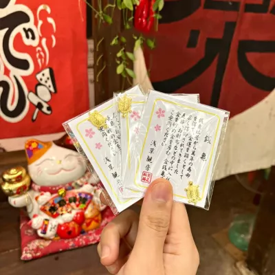 Set 10 Rùa Phong Thuỷ May Mắn