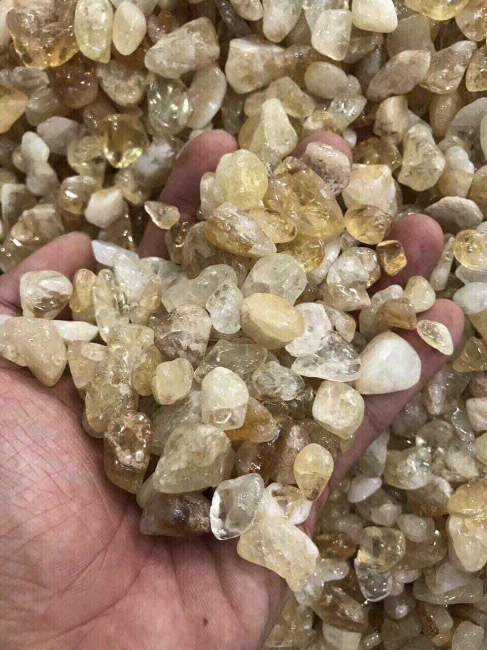 da-thach-anh-vun-ban-kg (5)