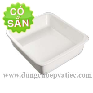 khay-buffet-bang-su khay-GN 2-3