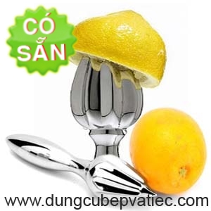 dung-cu-vat-chanh-cam-inox
