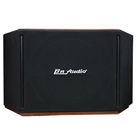 LOA BN AUDIO BN 505 II