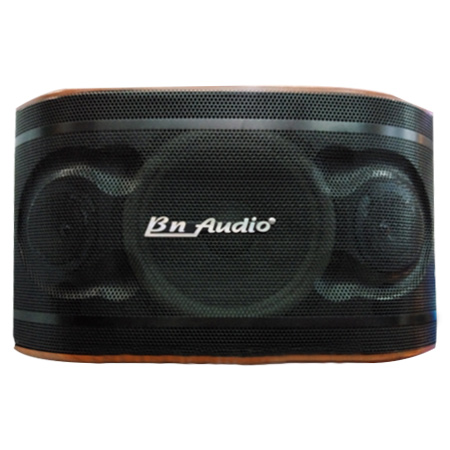 LOA BN AUDIO BN 404 II