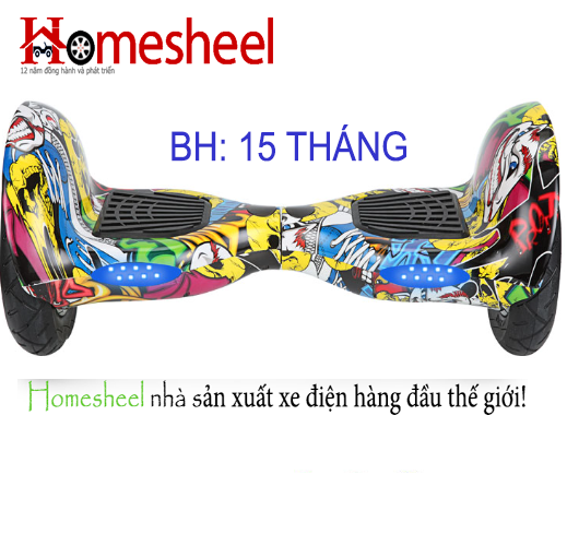 xe-dien-can-bang-homesheel-r10-usa-1m4G3-CGp5lX_simg_d0daf0_800x1200_max