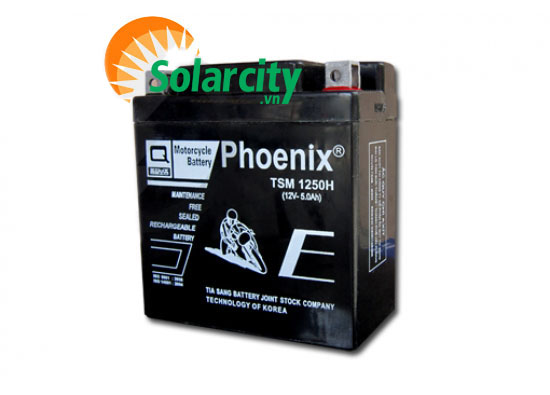 Ắc quy Phoenix 12V-5AH (TSM 1250H)