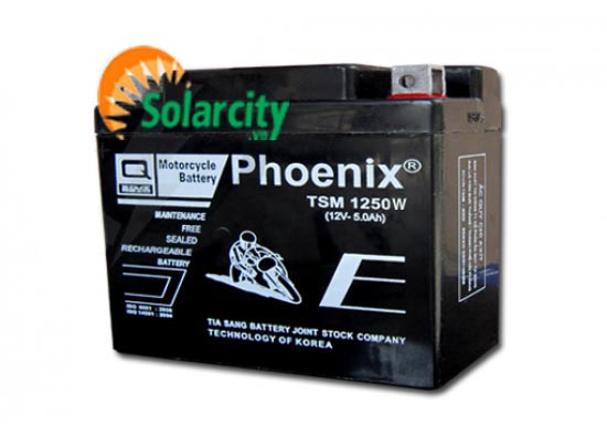 Ắc quy Phoenix 12V-5AH (TSM 1250 W)