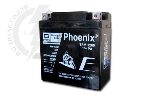 Ắc quy Phoenix 12V-6AH (TSM 1260)