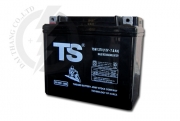 Ắc quy Phoenix 12V-7AH ( TSM 1270 Nouvo )