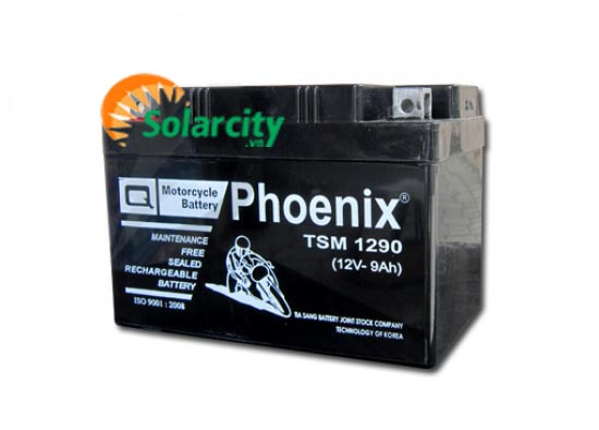 Ắc quy Phoenix 12V-9AH ( TSM 1290)