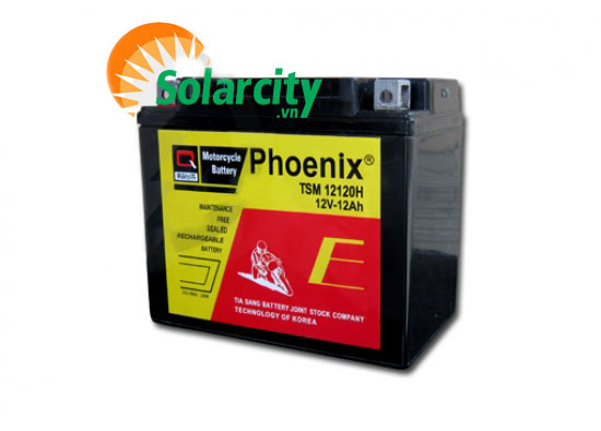 Ắc quy Phoenix 12V-12AH (TSM 12120H)