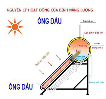 Máy nước nóng năng lượng mặt trời ống dầu 80L