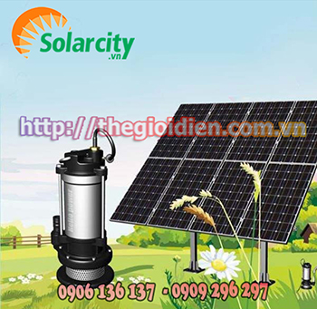 Bơm Nước Điện Năng Lượng Mặt Trời 20hp