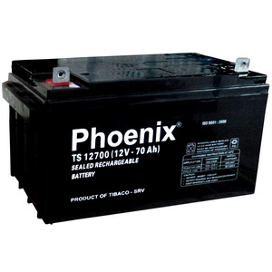 Thông Tin Ắc Quy Phoenix Kín Khí CN 12V-70Ah (TS12700)