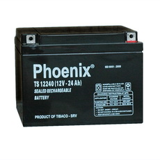 ẮC QUY PHOENIX KÍN KHÍ CN 12V-24AH (TS12240)