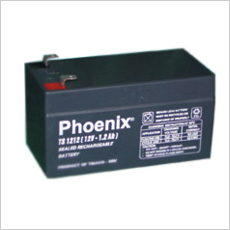 ẮC QUY PHOENIX KÍN KHÍ CN12V-2,8AH (TS1228)