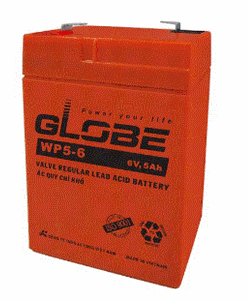GLOBEWP5-6