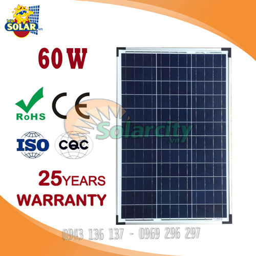 Pin Năng Lượng Mặt Trời Poly Solarcity 60W