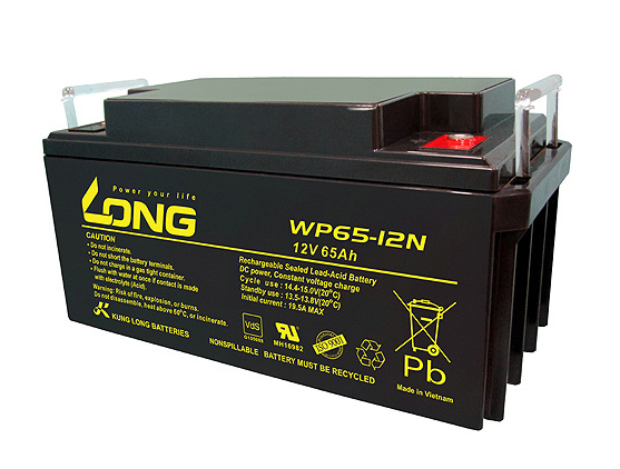 Long_AGM_VRLA_12V-65Ah_(WP65_12N)_pinnangluongmattroi_vn
