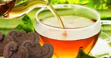 Dùng nấm linh chi để phòng bệnh