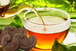 Dùng nấm linh chi để phòng bệnh