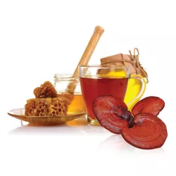 Nấm linh chi mật ong