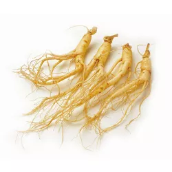 Sâm lát mật ong