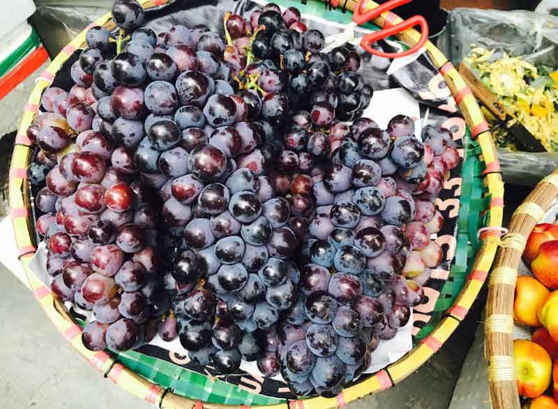 nho trung quốc giả nho ninh thuận được dân việt ưa chuộng