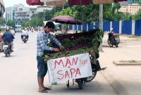 ​Nếu không tinh ý, bạn sẽ sử dụng phải Mận tím Trung Quốc