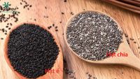 HẠT CHIA, HẠT É CÓ GIỐNG NHAU ? CÁCH PHÂN BIỆT 2 LOẠI HẠT DỄ DÀNG?