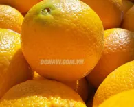 Cam Navel Australia