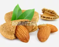 Hạt hạnh nhân rang muối nguyên vỏ Mỹ