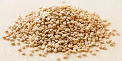 Hạt diêm mạch (Quinoa)
