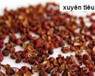 Xuyên Tiêu