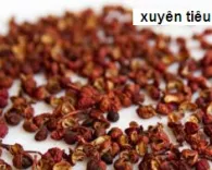 Xuyên Tiêu