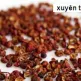 xuyen-tieu_01[1]
