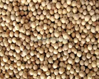 Hồ tiêu Chư Sê sọ
