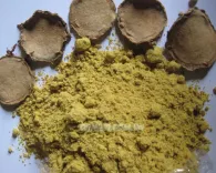 Bột nghệ đen