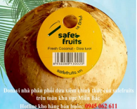 Trái dừa xiêm cao cấp size X