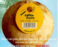 Trái dừa xiêm cao cấp size X