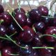 cherry-NZL